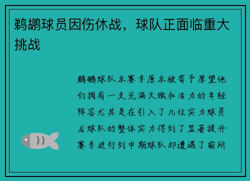 鹈鹕球员因伤休战，球队正面临重大挑战